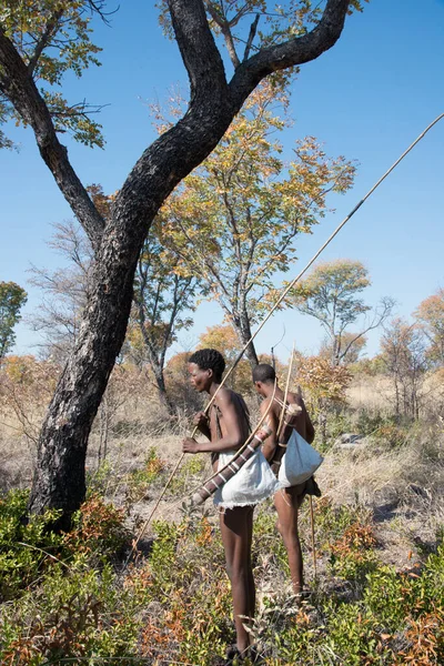 Калахари Намибия Сен 2016 Вертикальный Снимок Двух Членов Народа Сан — стоковое фото
