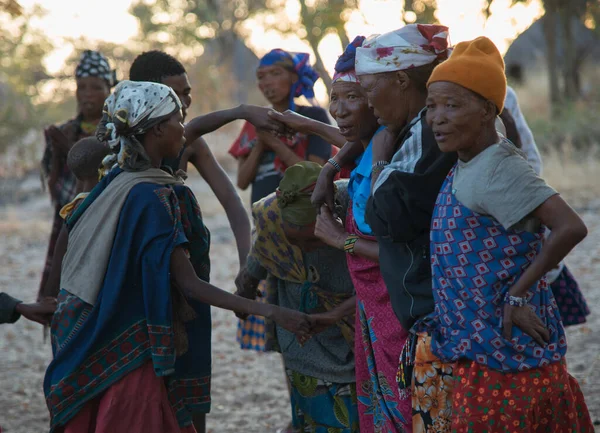 Калахари Намибия 2016 Народ Сан Бушмен Собрался Солнечный День Калахари — стоковое фото