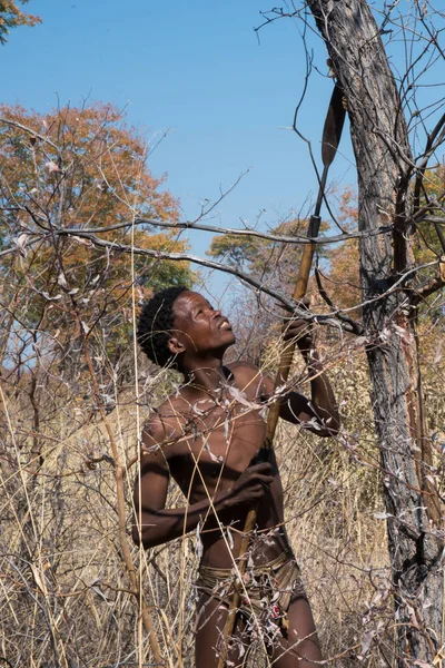 Kalahari Namibia 2016 Vertikální Záběr Člena San People Bushmen Slunečného — Stock fotografie