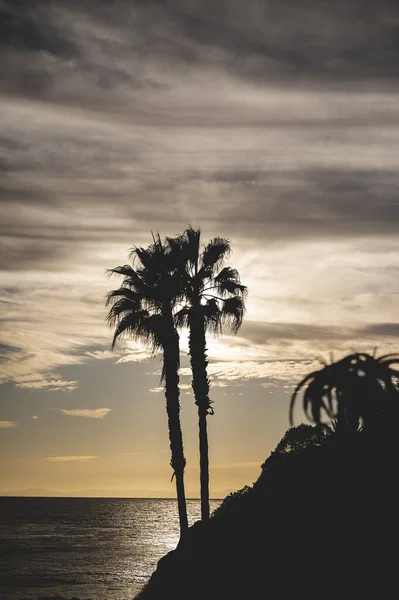 Vertical Silhouette Shot Laguna Beach Sunset California Usa — Fotografia de Stock