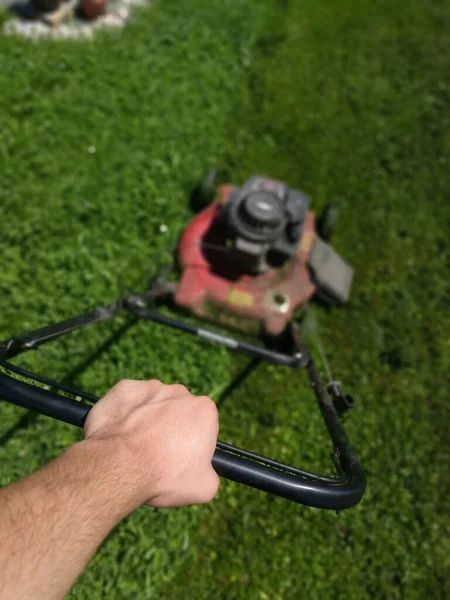 High Angle Shot Male Hand Holding Lawn Mower Mowing Grass — Stockfoto