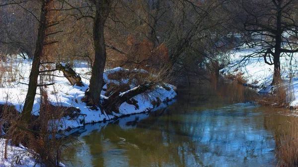 Rio Floresta Nevada Inverno — Fotografia de Stock