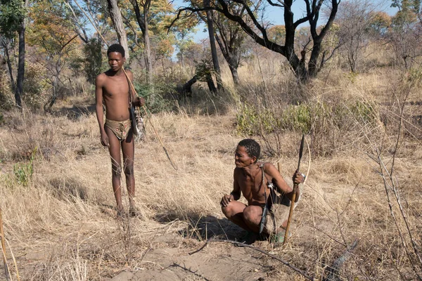 Kalahari Namibia Setembro 2016 Dois Membros Povo San Bushmen Caçando — Fotografia de Stock