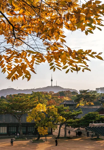 韓国ソウルの木の枝に紅葉した南山塔と長興宮 — ストック写真