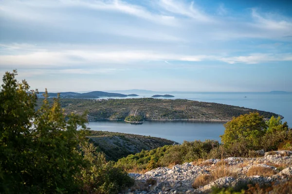Scenic View Landscape Covered Green Forest Sea Croatia Primosten — 图库照片
