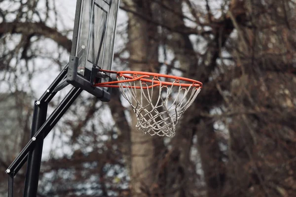 Баскетбольний Кільце Розмитими Деревами Задньому Плані — стокове фото