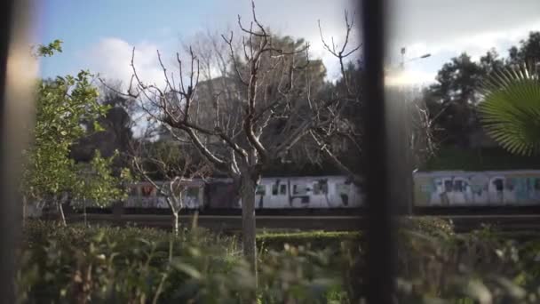 晴天火车经过美丽风景的风景镜头 — 图库视频影像