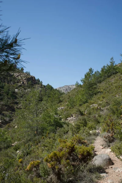 Beautiful View Forested Mountains Clear Blue Sky — Fotografia de Stock