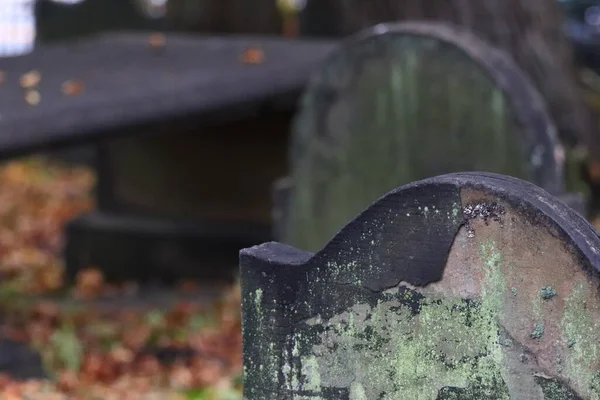 Halifax Canadá 2021 Una Lápida Cementerio Antigua Cementerio Del Centro —  Fotos de Stock