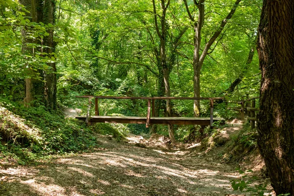 塞尔维亚索科巴尼亚绿色森林中的一座小木桥 — 图库照片