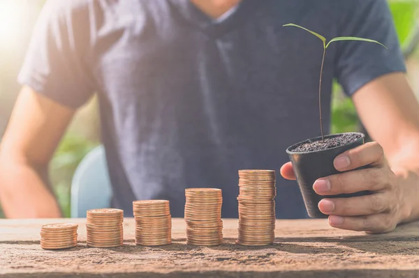 Man Holding Newly Planted Seedling Collecting Coins Concept Financial Growth — Stockfoto