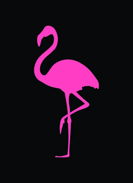 Flamingó Ikon Vektor Illusztráció — Stock Vector
