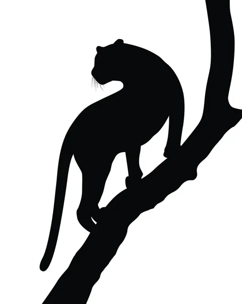 Silhouet Van Een Kat — Stockvector