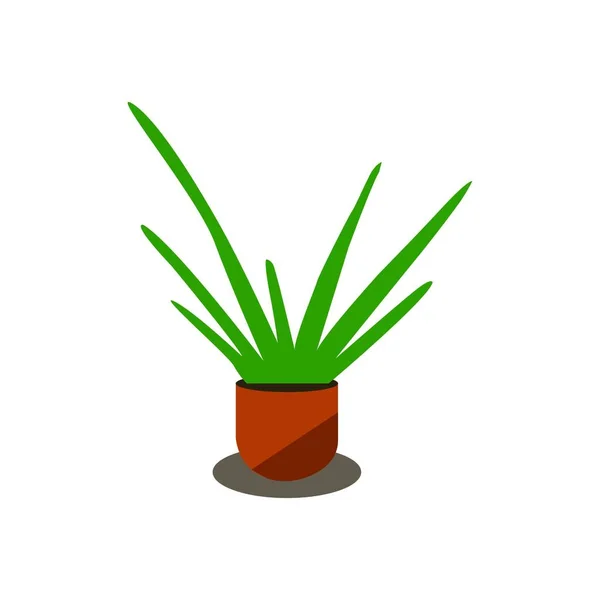 Grön Växt Ikon Isometriska Växter Vektor Symbol Stock Illustration Isolerad — Stock vektor