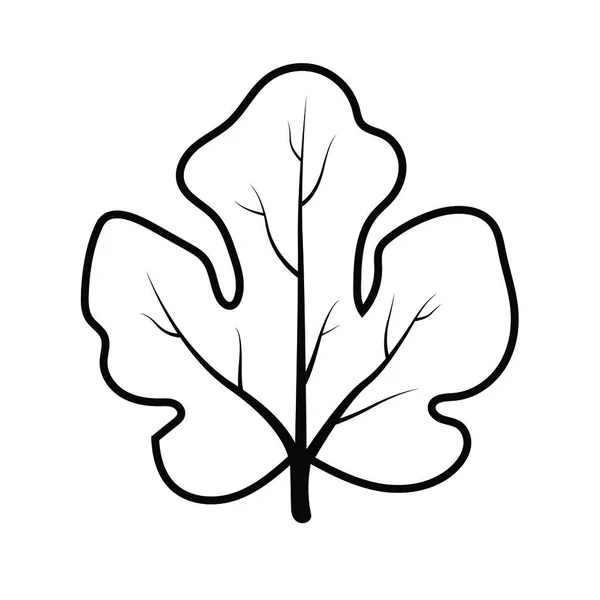 참나무 아이콘 일러스트 디자인의 나뭇잎 — 스톡 벡터