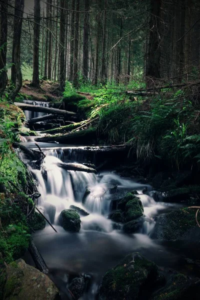 Schöner Wasserfall Wald — Stockfoto