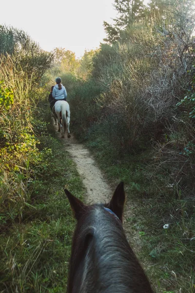 Plan Vertical Personnes Montant Des Chevaux — Photo