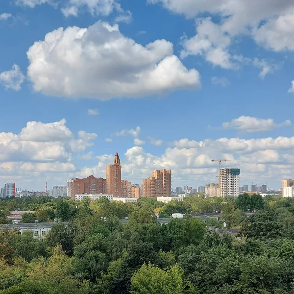 Moscow Russia Aug 2020 Bright Summer Day Kuzminki District Moscow — Fotografia de Stock