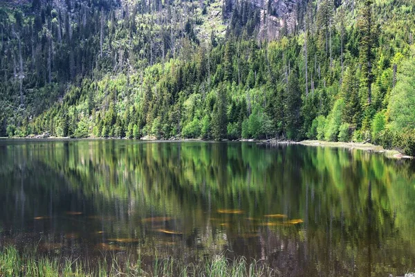 高山上美丽的湖水 — 图库照片