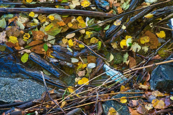 Ένας Μολυσμένος Κόλπος Φθινοπωρινά Φύλλα — Φωτογραφία Αρχείου