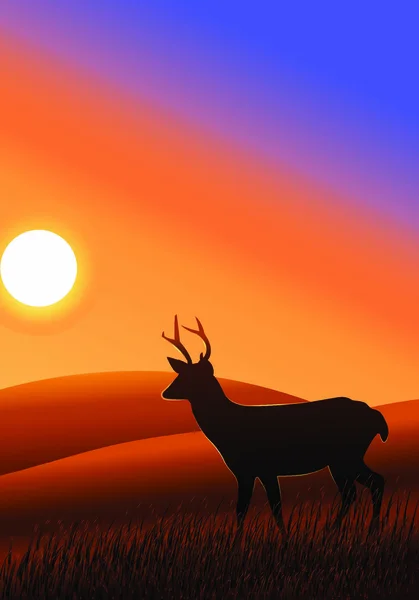 草原上一头鹿的轮廓 — 图库矢量图片