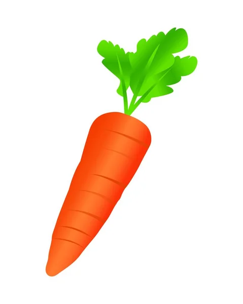 Морквяний Значок Векторна Ілюстрація — стоковий вектор