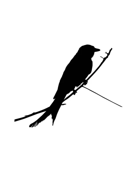 Zwart Silhouet Van Een Vogel — Stockvector