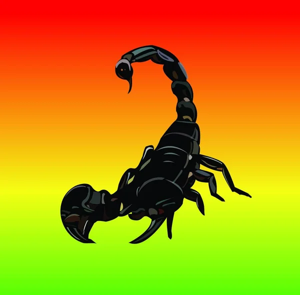 Ilustrace Scorpion — Stockový vektor