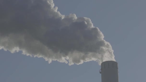 Fabrika Bacalarından Buhar Görüntüleri — Stok video
