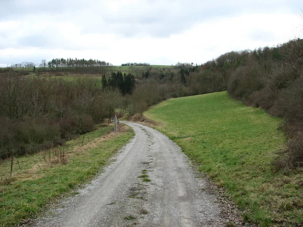 Path Going Fields Bushes — Stockfoto