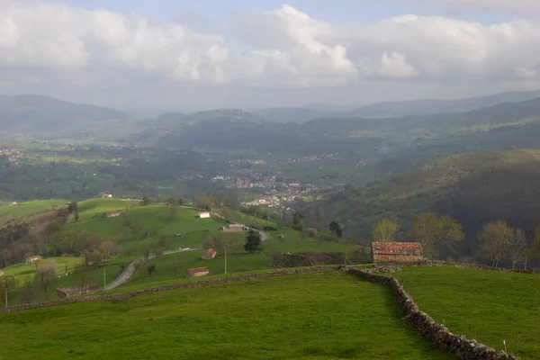 Ein Schöner Blick Auf Das Tal Mit Bäumen Und Bergen — Stockfoto