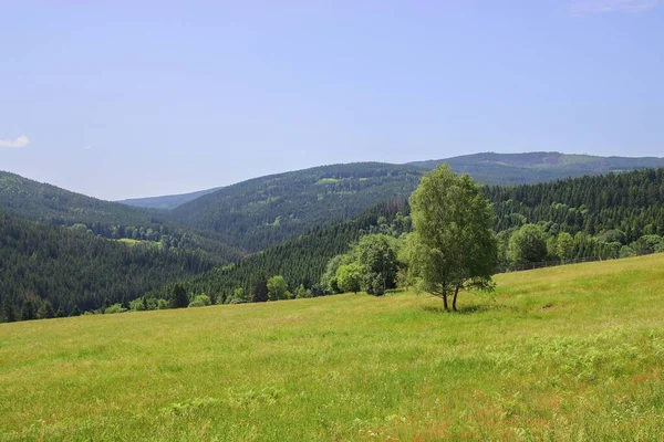 Schöne Landschaft Mit Grünem Gras Und Blauem Himmel — Stockfoto