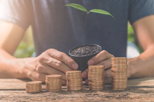 Man Holding Newly Planted Seedling Collecting Coins Concept Financial Growth — Stockfoto