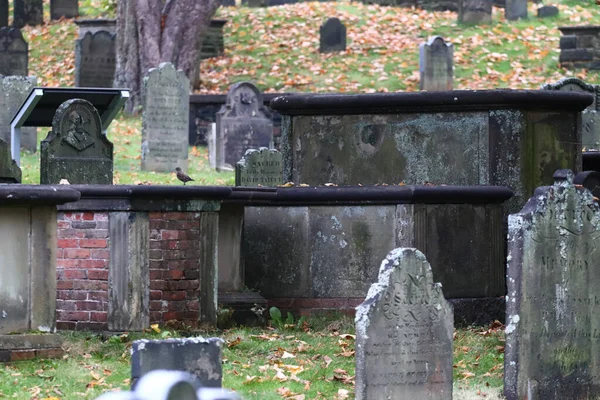 Halifax Canada Sep 2021 Old Cemetery Headstones Downtown Graveyard Halifax — Foto Stock