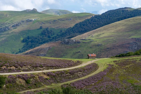 Vackert Landskap Med Väg Bergen — Stockfoto