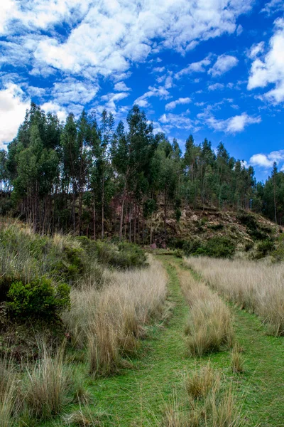 Hermoso Paisaje Con Árbol Cielo Azul —  Fotos de Stock