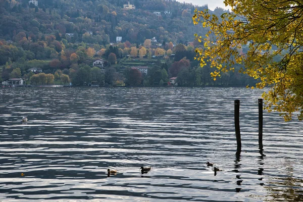 Lake Orta Orta San Giulio Town Province Novara Italy — Stockfoto