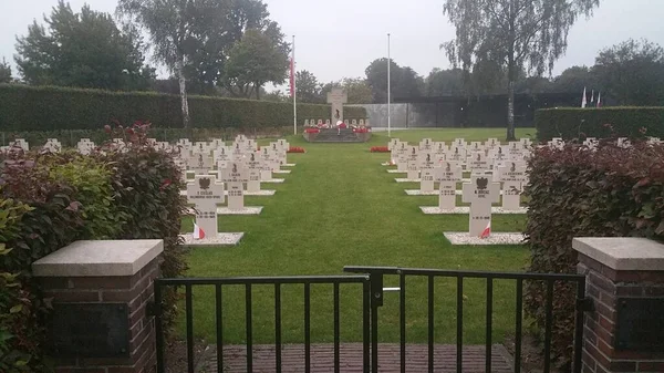 Breda Hollandia 2020 Szeptember Lengyel Háborús Temető Második Világháborús Emlékhely — Stock Fotó