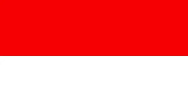 Bandera Polonia Ilustración Vectorial — Archivo Imágenes Vectoriales