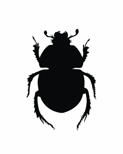 Beetle Icon Black Illustration White Background Vector Isolated Symbol — Stock Vector