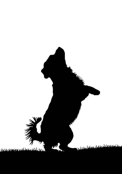 Silhouette Vectorielle Chien — Image vectorielle