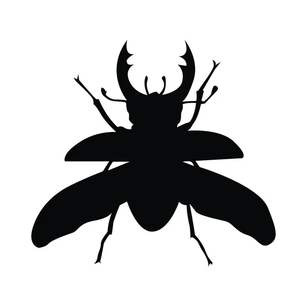 在白色背景上隔离的黑色甲虫图标 矢量说明 — 图库矢量图片