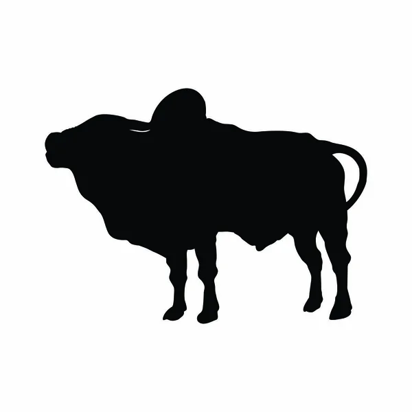 Silhouette Einer Kuh Mit Schwarzem Hintergrund — Stockvektor