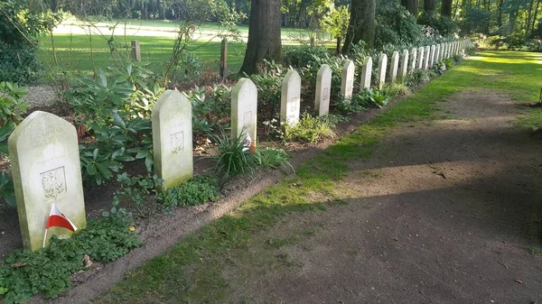オステルベーク オランダ 2020年9月7日 アーネム オステルベーク戦争墓地 空挺墓地 と第二次世界大戦記念物のサイト 犠牲の十字架 夏の晴れた日 — ストック写真