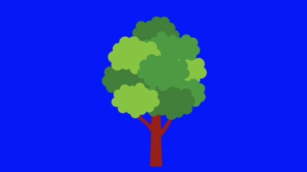 Vector Illustration Tree Icon — Stock Video