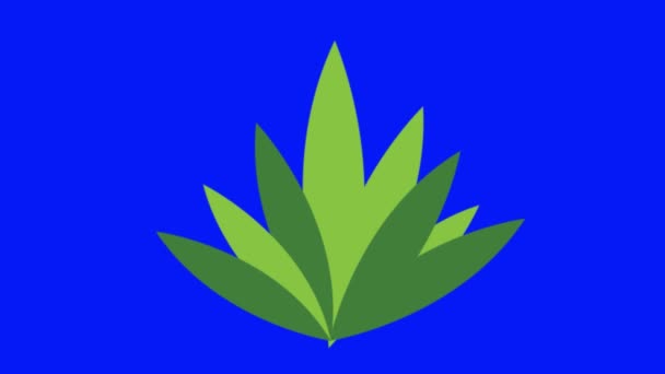 Zelené Listy Rostliny Modrým Pozadím — Stock video