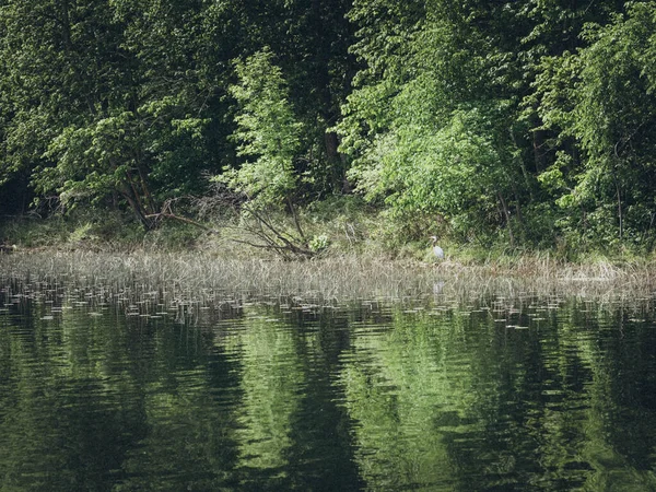 Beau Paysage Avec Une Rivière Lac — Photo