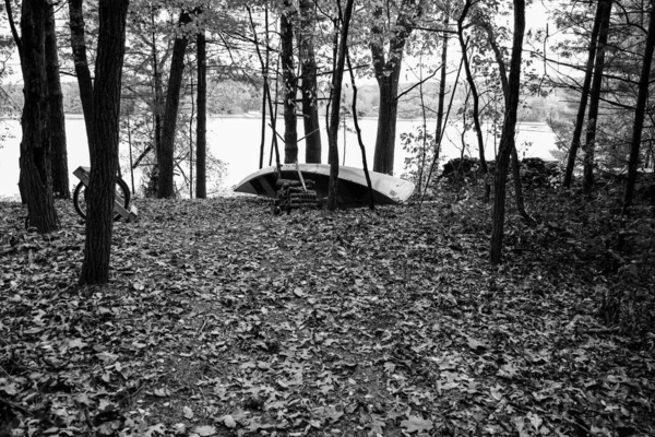 Schwarz Weiß Foto Eines Schönen Herbstwaldes — Stockfoto