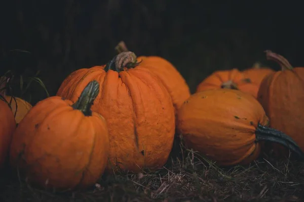 Halloween Kürbisse Auf Einem Hölzernen Hintergrund — Stockfoto