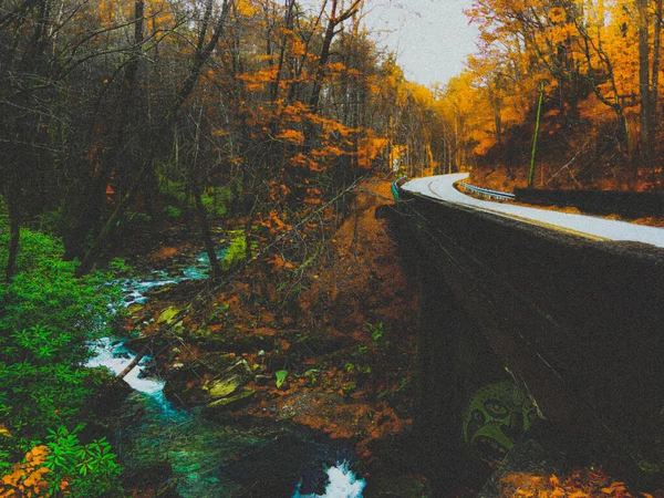 Podzimní Les Horách — Stock fotografie